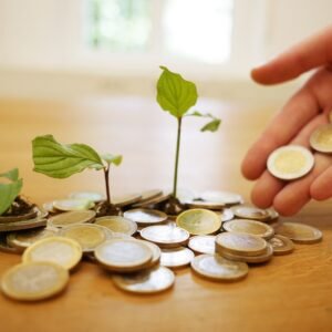 multiply, money, growth, business, coins, wealth, investments, cash, currency, finance, success, savings, bank, profit, multiply, multiply, multiply, multiply, multiply